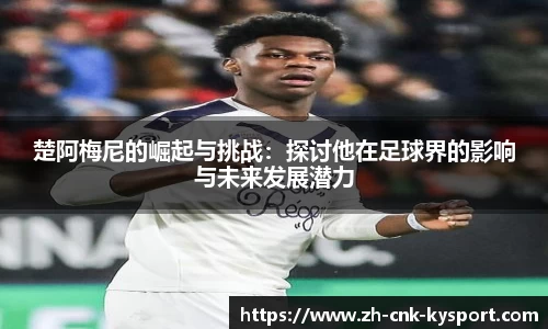 开云体育官网